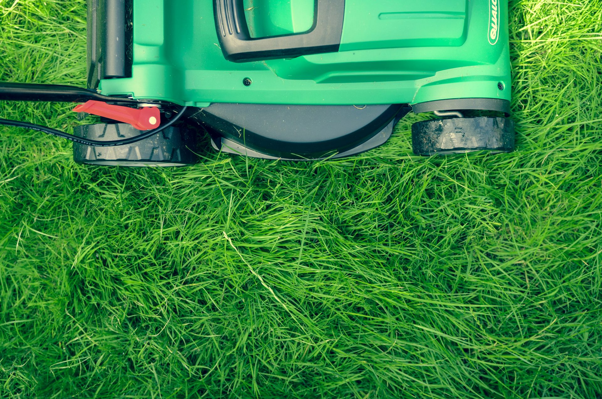 Essential Lawn Care Tips to Enhance Value for Homeowners